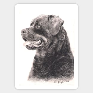 Rottweiler Sticker